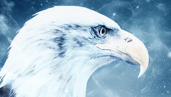 Energie update Blauwe Adelaar levenspad 8 - 20 januari 2023: Hoe het kleine groot kan zijn